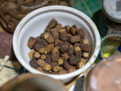 Il tavolo su cui Mino sta lavorando � anch�esso pieno di attrezzi, pennelli, tappi di sughero, perline e tantissimi noccioli di olive